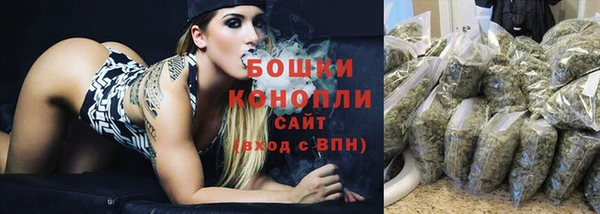 амф Гусь-Хрустальный